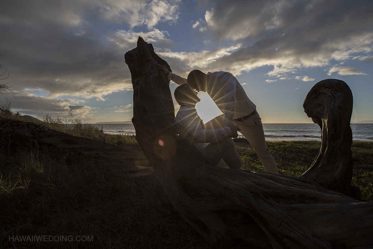 hawaii wedding couple kissing at tree