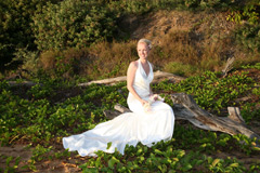 Hawaiian wedding bride sits on drift wood for her photos