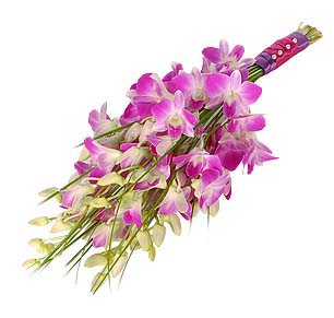 Dendrobium Orchid Bouquet