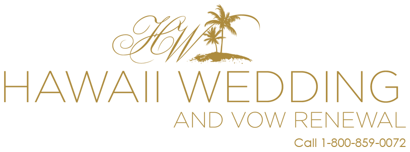 The BEST Vow Renewal On Maui - Make Your Dreams Happen